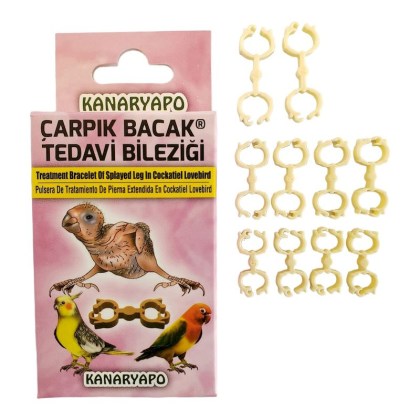 BRAZALETE PATAS RANA AGAPORNIS NINFAS 2_resultado